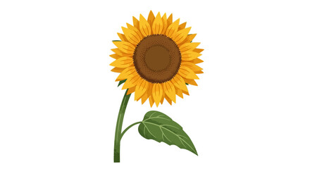 Obraz premium A vibrant yellow sunflower illustration with green stem and leaf, viewed from the side on a simple background