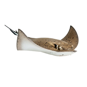 A spotted stingray swimming on a transparent background with black spots