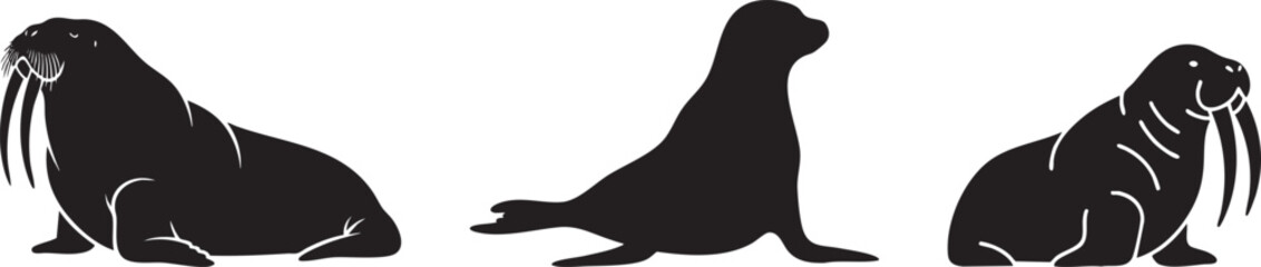 Set of Arctic Marine Mammal Silhouettes: Walrus and Sea Lion Icons on White Background © Md