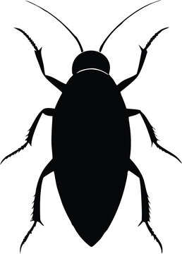 Cockroach Silhouette Vector Illustration, Black Bug Pest Outline Graphic
