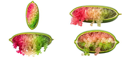 Set of colorful Australian finger lime fruit cut open showing citrus caviar pulp isolated on white background.