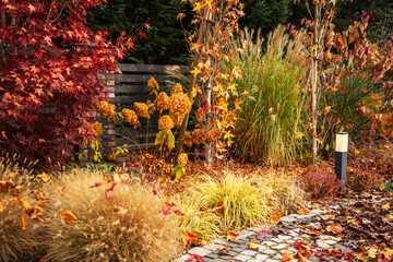 Fall Garden With Colorful Plants and Landscaping Features