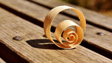 Wood shavings spiral on rustic bench with natural light highlighting its curves. This wood shaving spiral rests beautifully on a wooden surface, showcasing craftsmanship and texture.