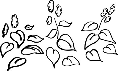 Hand-drawn botanical leaf set, vectorized pencil sketches of garden plants in doodle style. Organic hand-drawn foliage collection, vectorized pencil line art of garden leaves.
