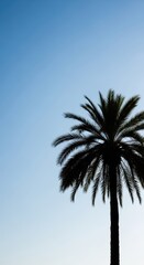 A beautiful tropical palm tree silhouette against a clear vibrant blue sky, symbolizing vacation, relaxation, and paradise, silhouette, sunny, sunlight