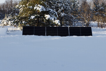 solar panels in a snowy field against a background of pine trees, sunny weather