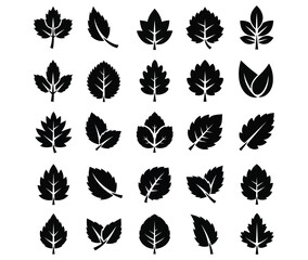Obraz premium Collection of diverse black leaf silhouettes on white background
