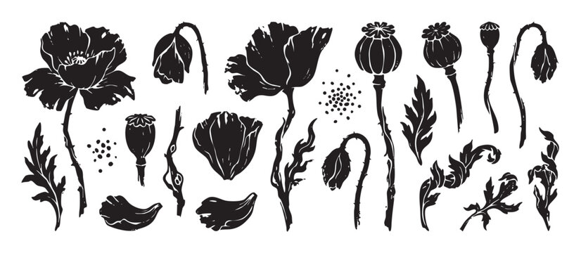 Hand-drawn poppy flower silhouette collection featuring various botanical elements like blooms, buds, seed heads, and leaves in a graphic, black ink stamp or woodcut style