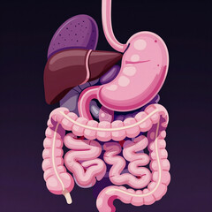 Vibrant pink and purple digital illustration of a human digestive system on dark background