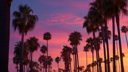 Palm trees at sunset, their colors blending across the sky in shades of pink, golden yellow, and purple
