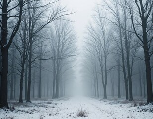 Typical winter scene with snow and serene atmosphere