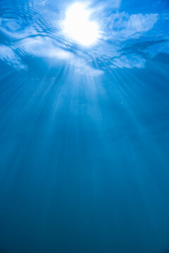 Vertical blue underwater background with copy space