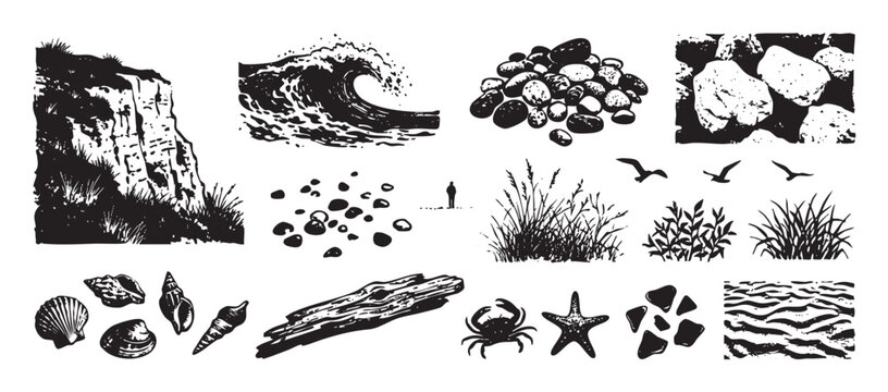 Hand-drawn set of beach and coastal elements in a graphic black and white linocut style, featuring a sea wave, cliff, pebbles, shells, crab, starfish, and driftwood