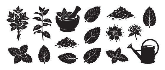 Fototapeta premium Set of black mint herb illustrations in a vintage woodcut style showing leaves, flowers, a mortar, pestle, and watering can for gardening and culinary concepts