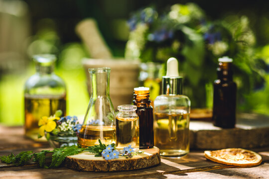 Alternative green herbal medicine. Natural plant-based ingredients for skin care beauty products, perfumery production. Small business, laboratory, drug research, organic extracts in glassware