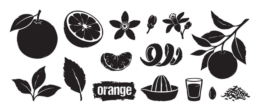 Collection of orange fruit vector elements in a black silhouette woodcut style, including a citrus slice, blossom, leaf, branch, juicer, peel, and a glass of fresh juice