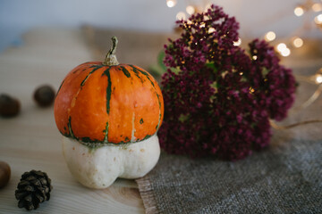 Pumpkin lie on the table among hazelnuts and small cones. Garland with warm light lanterns. Bokeh with yellow light. Pumpkin is a symbol of autumn. Thanksgiving, Halloween, Christmas, New Year.