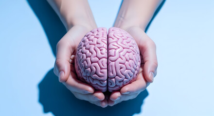 Hands gently holding a pink model of a human brain on a light blue background image photo