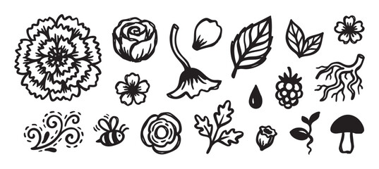 Obraz premium Hand-drawn collection of black ink floral and botanical doodles including flowers, leaves, a bee, and a mushroom in a simple, sketchy style perfect for nature-themed designs