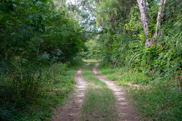 Obraz premium 日本の沖縄県の水納島のとても美しい風景