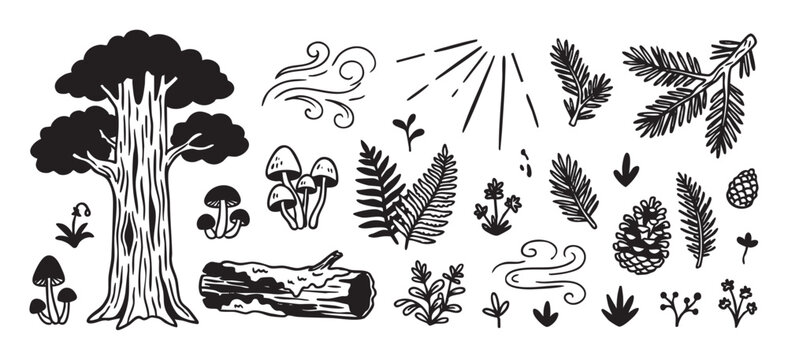 Hand-drawn black and white forest elements set with a large tree, mushrooms, a log, fern leaves, pinecones, and pine branches in a rustic, whimsical doodle style illustration