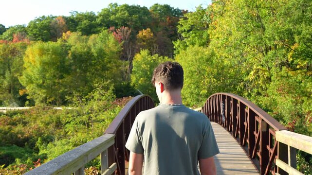 Young man walks along wooden boardwalk through vibrant forest and stops by railing. Royal Botanical Garden, Burlington, Ontario. Golden hour.