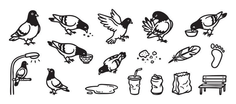 Collection of hand drawn pigeon illustrations and urban elements in a simple black and white doodle style, showing birds eating, flying, and perching near city trash and a bench