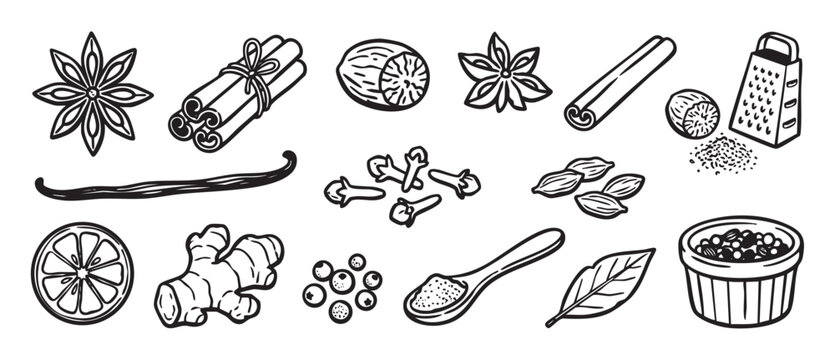 Set of hand-drawn spice illustrations including cinnamon, star anise, ginger, nutmeg, and cloves in a black and white line art doodle style for culinary concepts