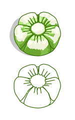 a green and white putu ayu  rice steam cake like flower with a white coconut Grater on center. Traditional Indonesian cakes 