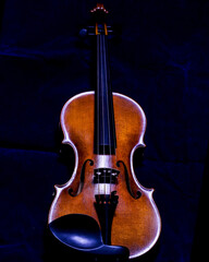 violin © Bugu