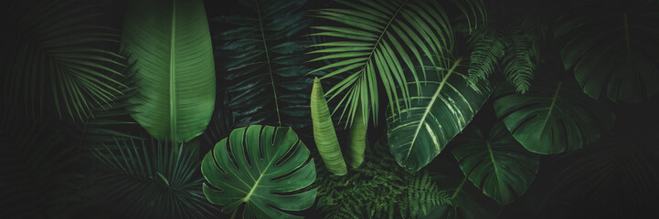 Lush green tropical leaves creating a vibrant natural backdrop with various textures and shapes
