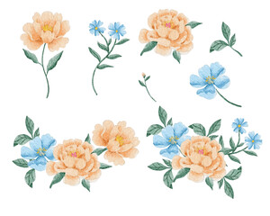 Peach Peony and Blue Anemone Watercolor