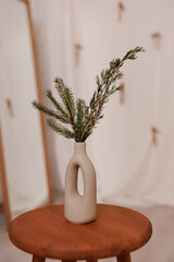 Minimalist vase with evergreen branches on wooden stool in bright interior
