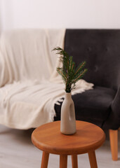 Minimalist vase with greenery on wooden stool in cozy living room