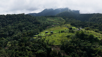 Lush green mountains and valleys of costa rica's cloud forest, with scattered buildings and homes...