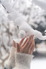 Gently Touching Snow in Winter①