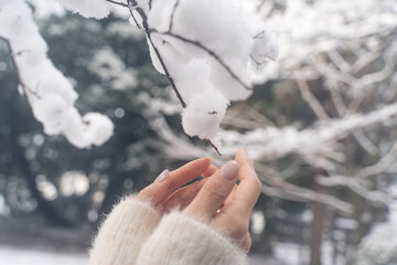 Gently Touching Snow in Winter③
