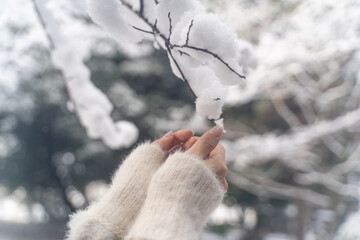 Gently Touching Snow in Winter①