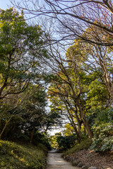 Obraz premium 都心散歩 浜離宮の散策