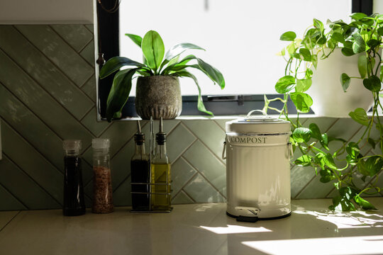 Compost can is sitting near window on sunlit countertop, grinders and plants are casting shadows