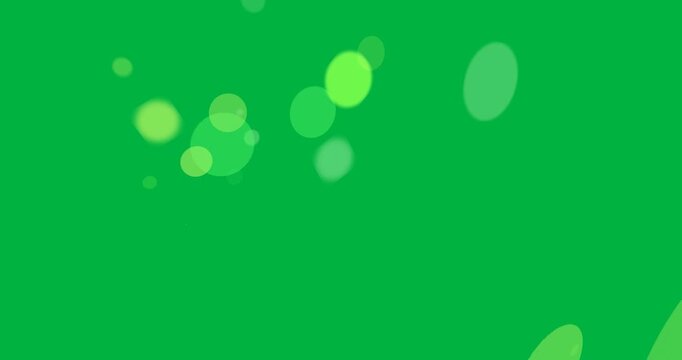 Starting on black transparent bg, green lime shapes appearing moving dispersing for motion design