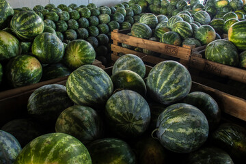 Marilia, SP, Brazil, October 16, 2025. Fresh watermelons stacked in crates at the CEAGESP wholesale market in Marília. The essence of brazilian agriculture, food logistics and produce distribution.