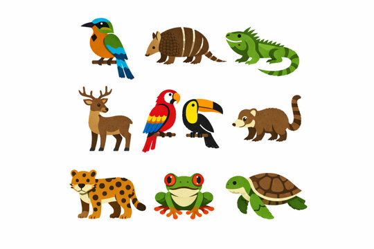 El Salvador wildlife icons in torn vector texture style
