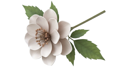 Single Pale Pink Flower with Green Leaves