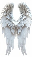 Obraz premium Pair of detailed, white angel wings