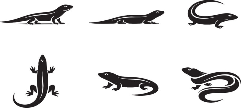 Skink Minimal Reptile Icon Set Black and White