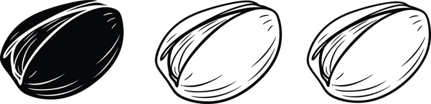 Pistachio nut icons set showing whole and shelled pistachios in black and white illustration design collection.