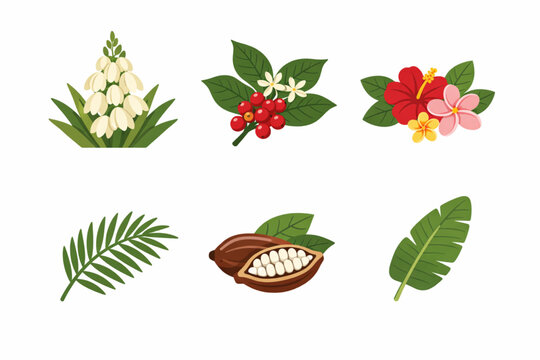 El Salvador native flora icons in flat botanical vector style