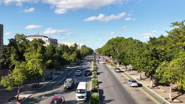 Aerial drone view of Paseo Montejo boulevard with traffic and trees in M&eacute;rida, M&eacute;xico on a sunny day