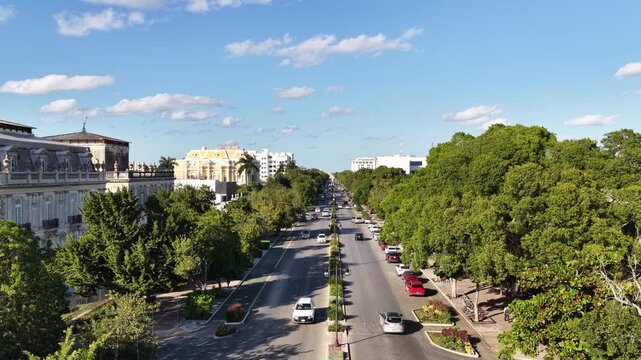 Aerial drone hovering over Paseo Montejo boulevard with colonial mansions and lush trees in M&eacute;rida, Yucat&aacute;n, M&eacute;xico